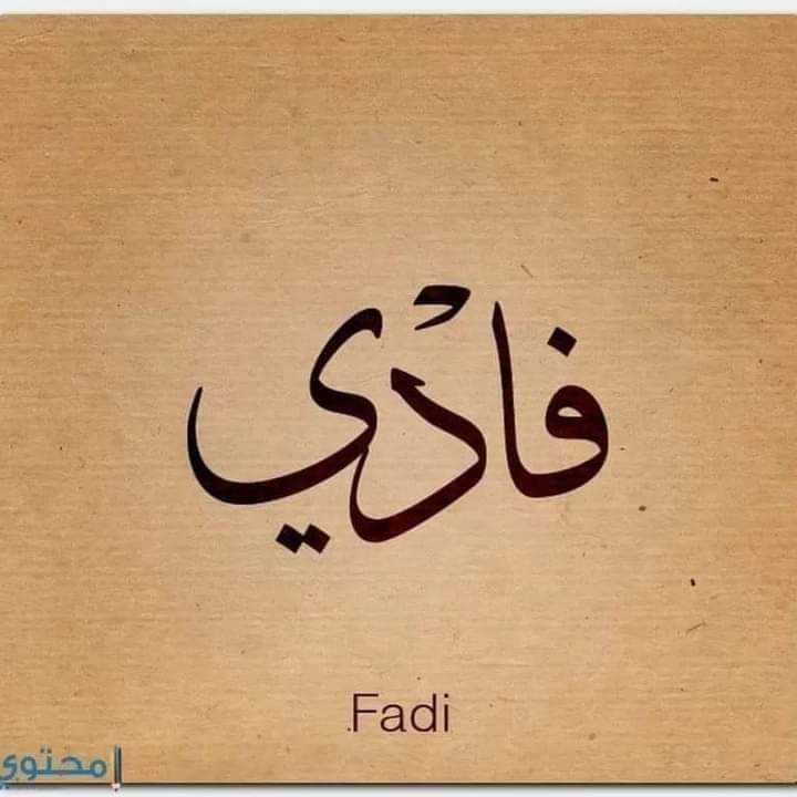 ���� ����_jLFNx