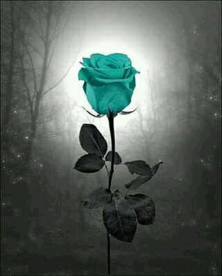 ANDREEH ANDREEH_t8ary